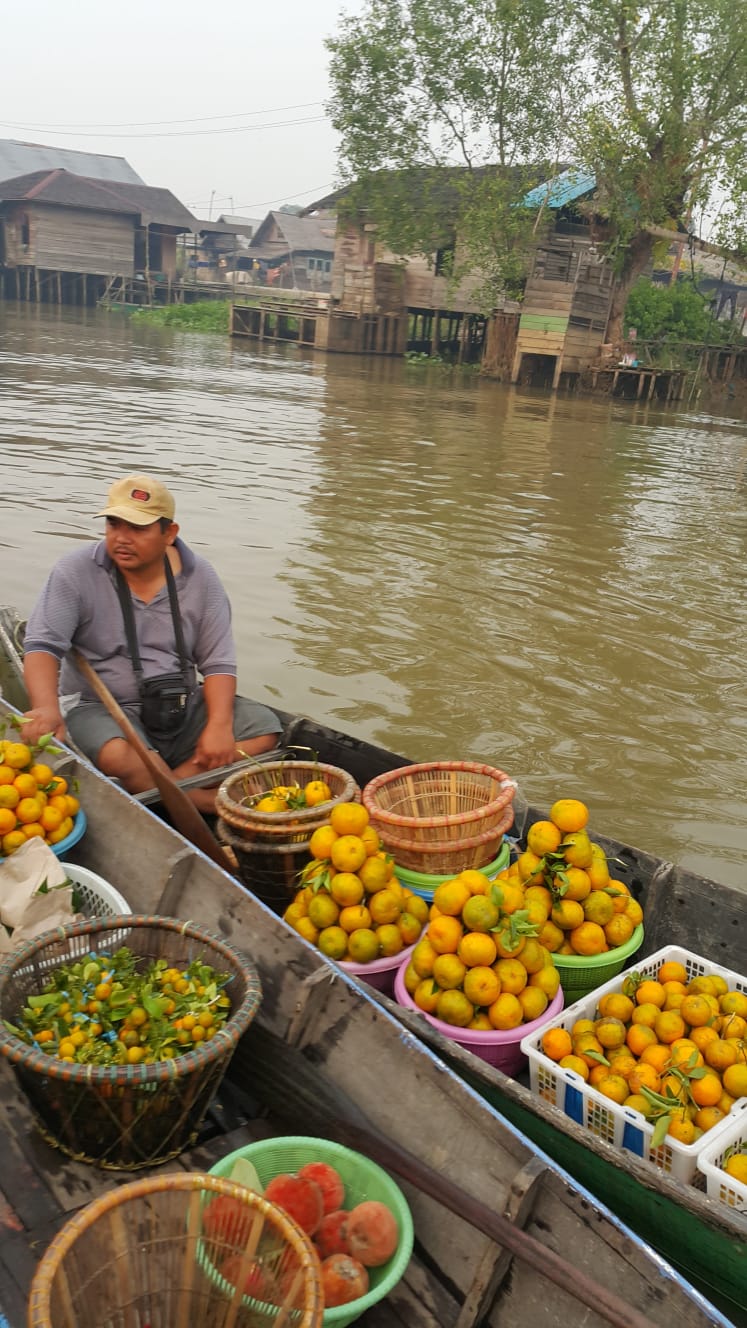 Aktivitas kehidupan sungai
